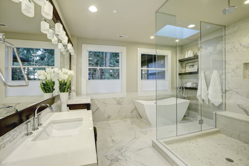 Elegant Shower and Tub Setup
